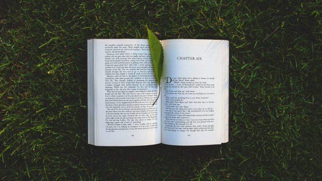 8 Tips Menerbitkan Buku Pertama yang Bisa Kamu Coba Terapkan