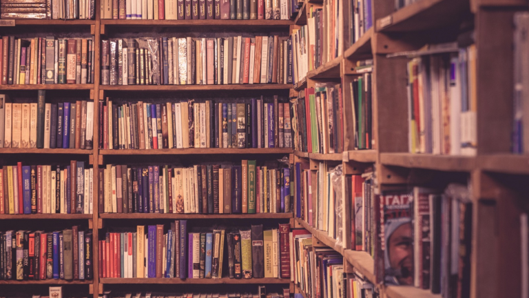 Jenis-Jenis Novel yang Wajib Diketahui Pembaca dan Penulis Pemula
