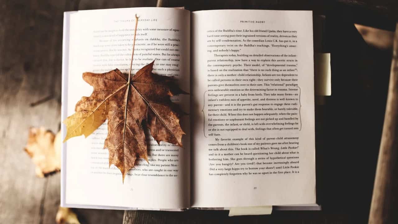 Persiapan dalam Menerbitkan Buku yang Perlu Kamu Ketahui 