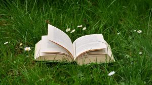 9 Tips Menentukan Tema yang Tepat untuk Buku Pertamamu agar Cepat Selesai