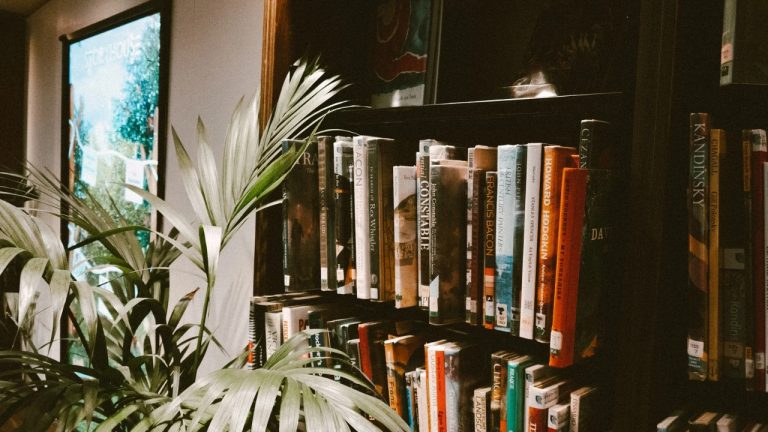 Tips Membuat Proposal Buku yang Menarik agar Berpeluang Dilirik Penerbit