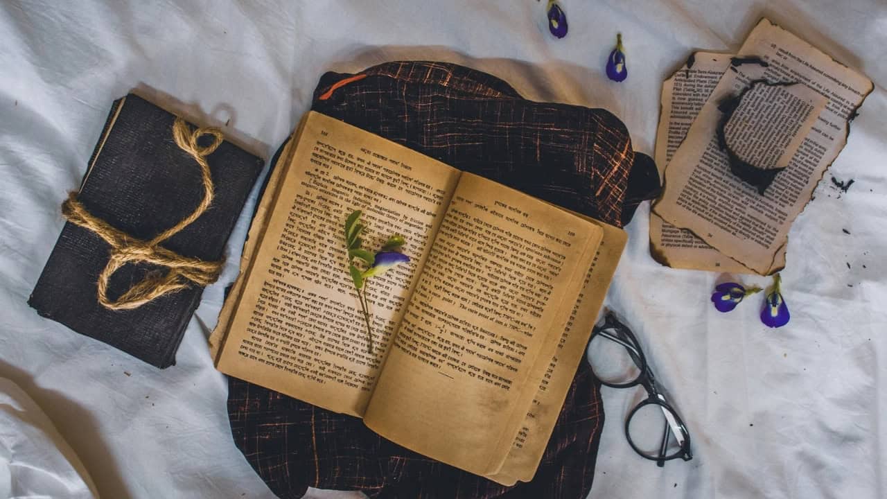 Mengenal 6 Tugas Layouter dalam Penerbitan Buku