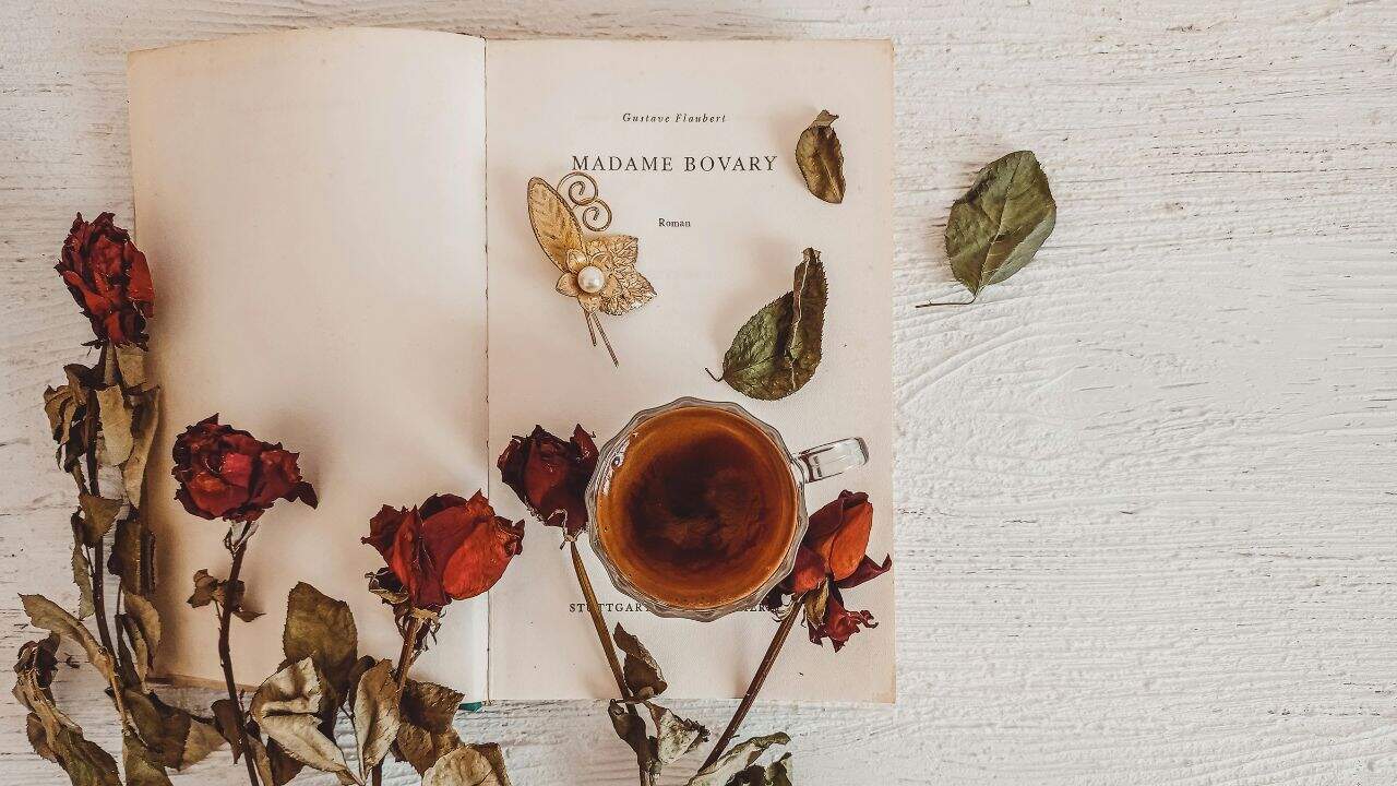 5 Jenis Kertas Novel yang Sering Digunakan oleh Penerbit