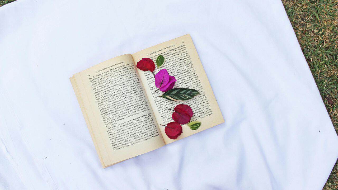 10+ Tips Membangun Alur Cerita Novel Agar Tidak Monoton