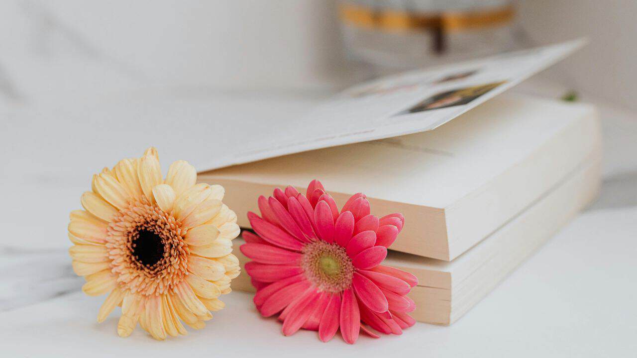 9 Manfaat Menulis Puisi yang Perlu Kamu Ketahui