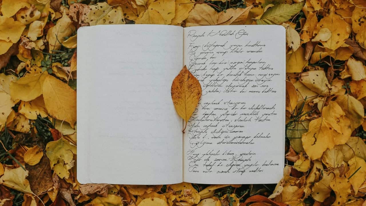 Cara Memahami Isi Puisi dengan Mudah, Yuk Ikuti!