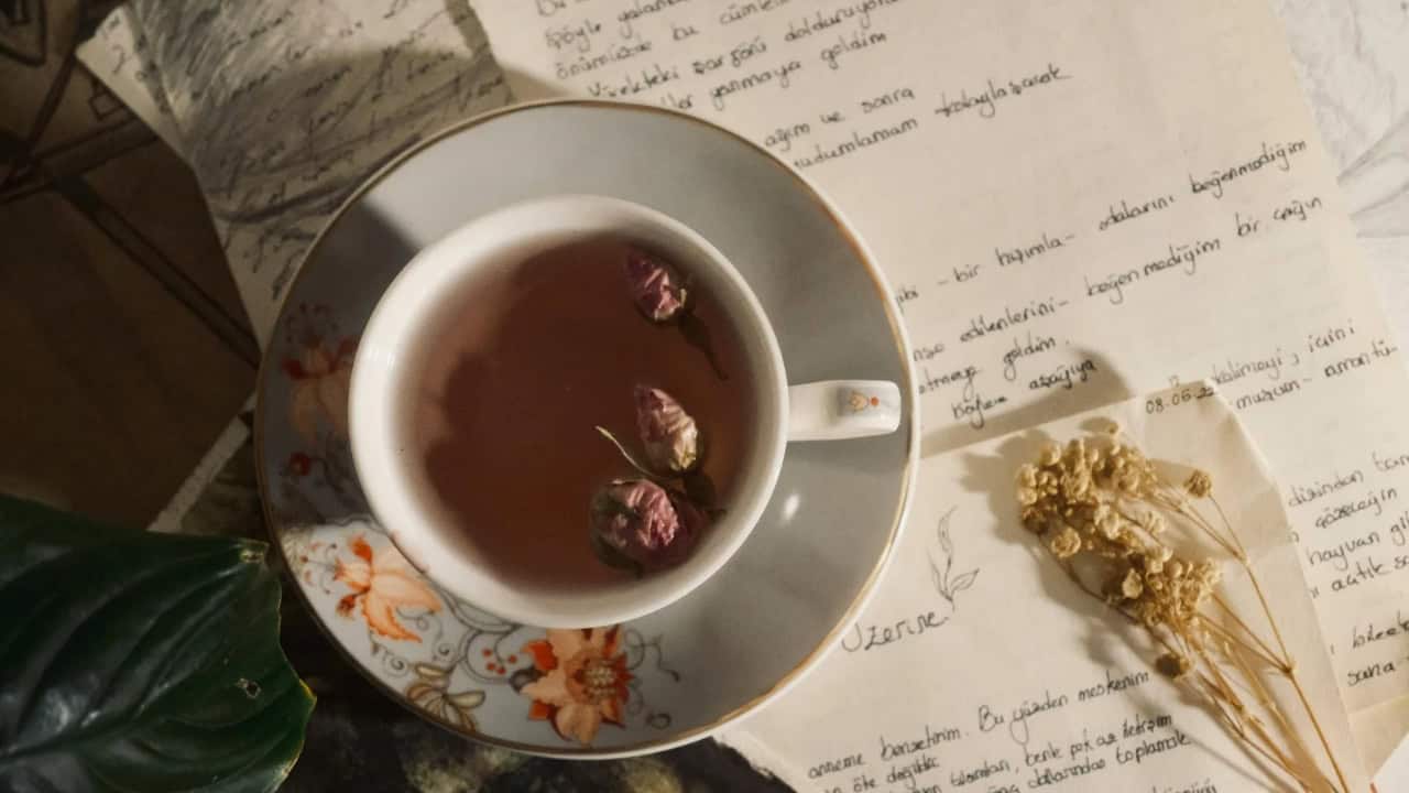  Jenis-Jenis Majas untuk Puisi dan Karya Sastra Lainnya yang Umum Digunakan