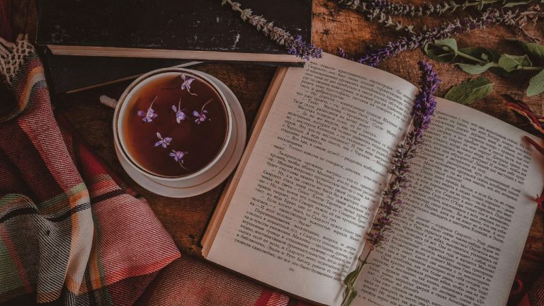 10+ Jenis Ending/Penutup Novel yang Bisa Penulis Pilih untuk Mengakhiri Cerita
