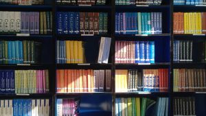 Apa Bedanya Menerbitkan dan Mencetak Buku? Simak Jawabannya di sini!