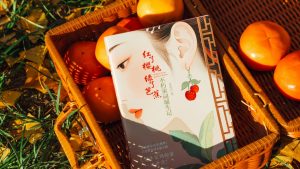 7 Perbedaan Hard Cover dan Soft Cover, Mana yang Lebih Cocok untuk Bukumu?