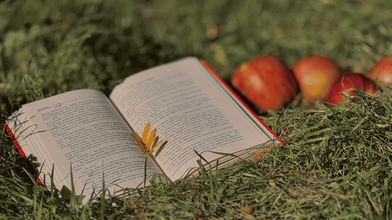 9 Jenis Genre Novel Terpopuler, Mana yang Paling Kamu Suka