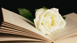 6 Cara Menulis Novel Romance yang Unik dan Tidak Membosankan