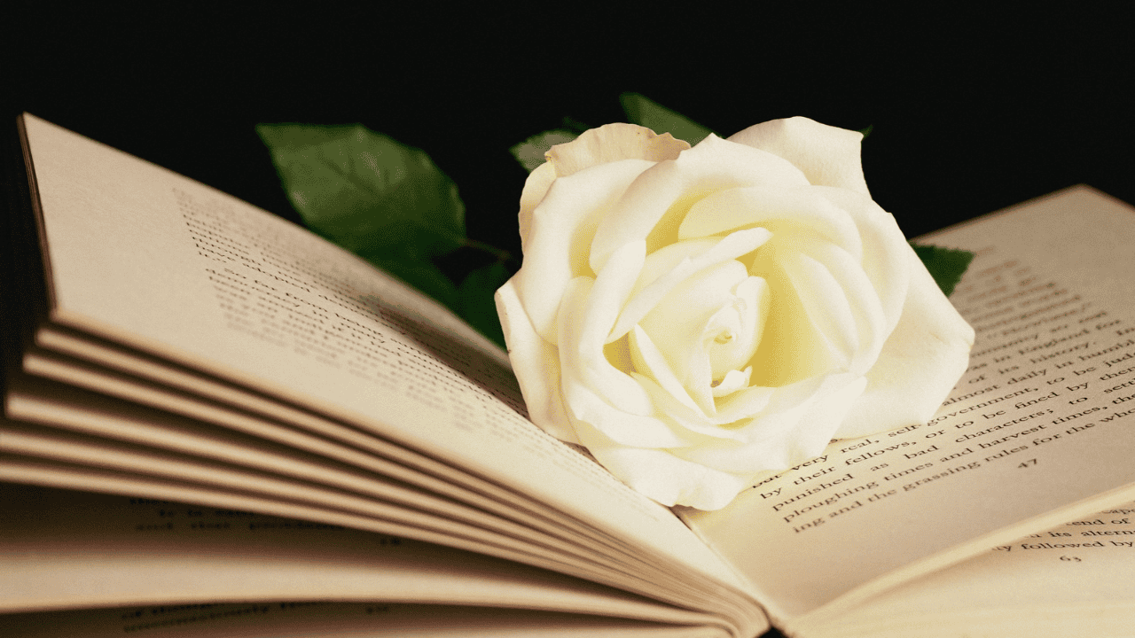 6 Cara Menulis Novel Romance yang Unik dan Tidak Membosankan